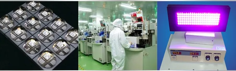 2314931521_505303884