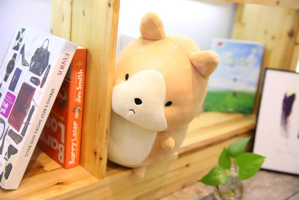 9037053334_526651954