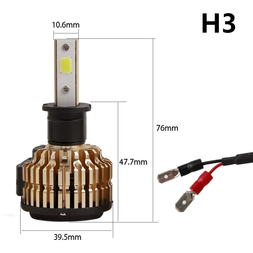 H3-1