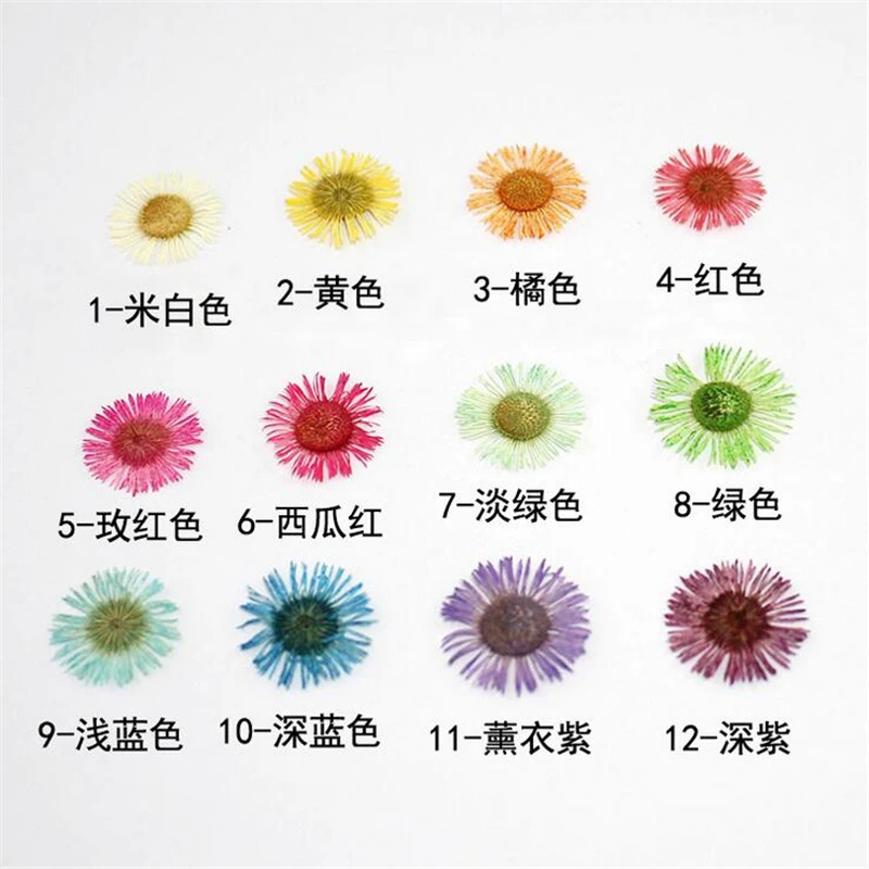 QQ截图20190703160354