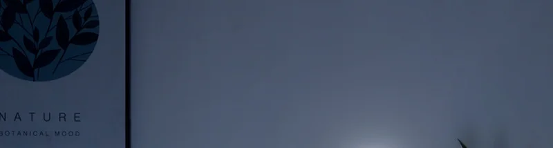 xq2-1673004