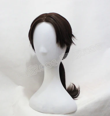 

Assassin's Creed Arno Victor Dorian wig Halloween Play