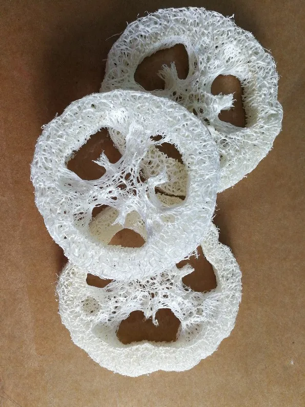 6 7cm wide 2 cm thick Natural Loofah Luffa Loofa Slice DIY customize