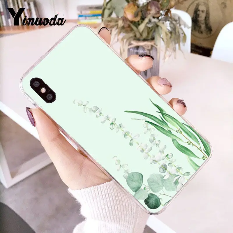 Simple little fresh mint green