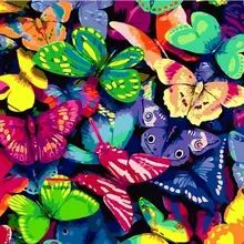 6985 красивые бабочки-DIY Краска по номерам