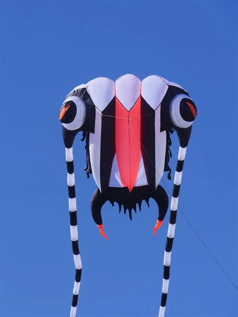 UT8Zb6jXv4XXXagOFbXf