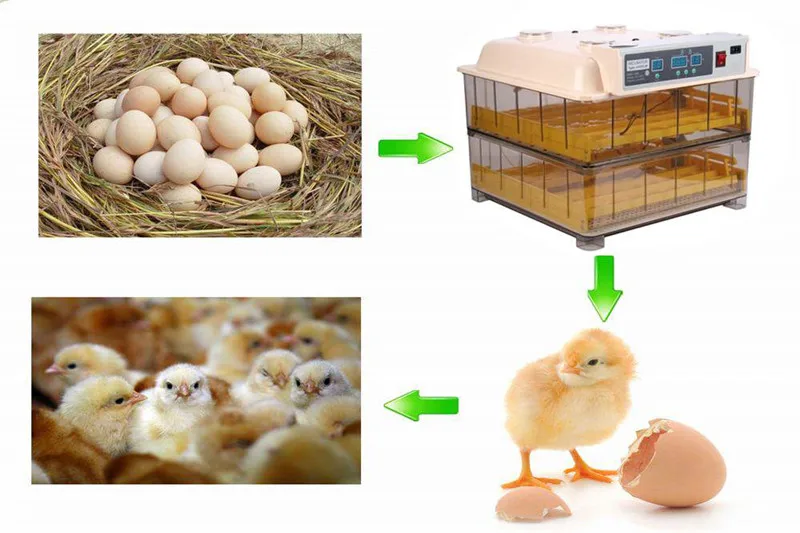 Hatchery quail brooder Full Automatic chicken 96 eggs incubator /mini Incubator/egg hatching machine