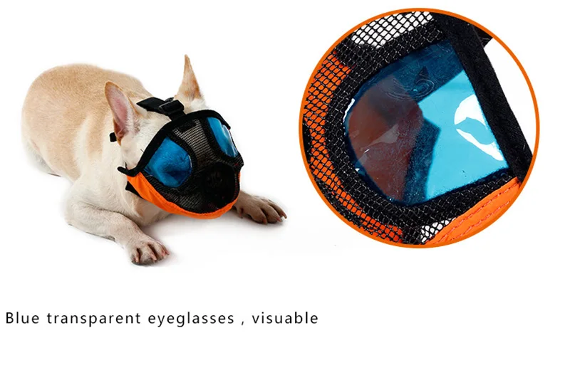 Short Snout dog Muzzle (13)
