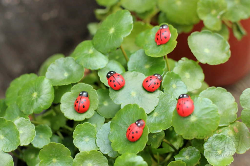 100x Miniature Dollhouse Bonsai Craft Garden Landscape Wooden Ladybug Decor