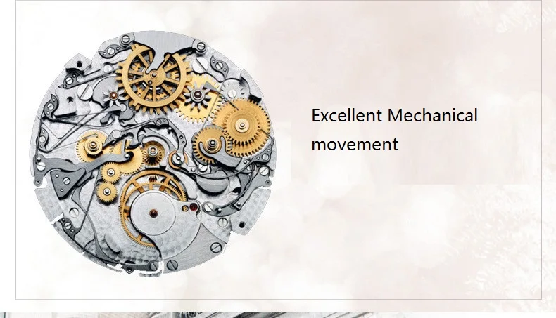 1 Pair GUANQIN Lovers Mechanical Watches Couple Automatic Watch Men Women Clock Auto Date Luminous Waterproof Brand Watch Men (11)