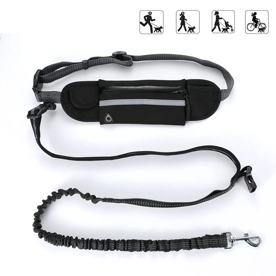 running dog leash lead