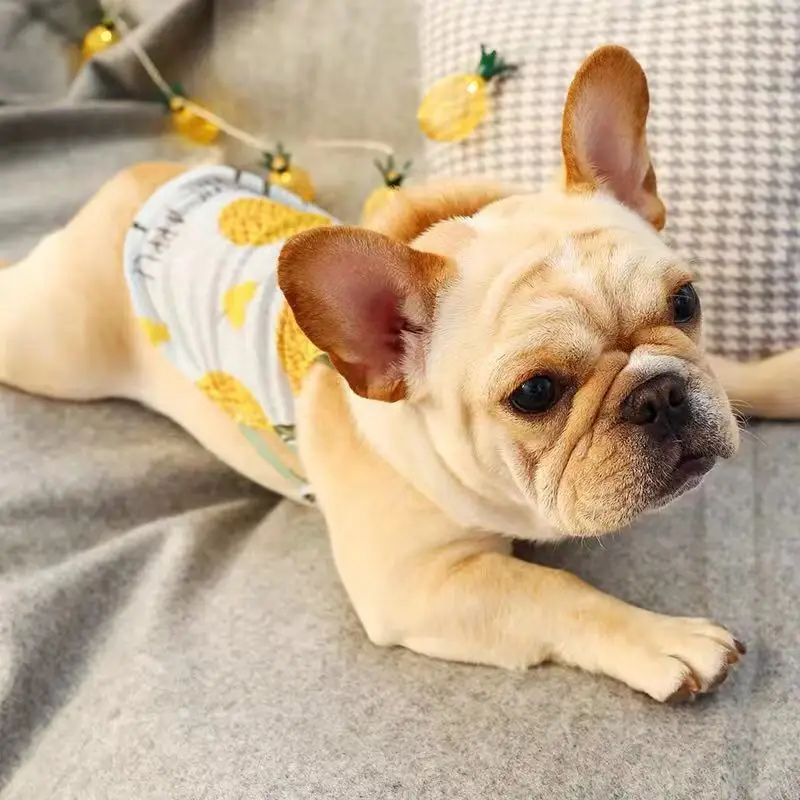Милая Солнцезащитная футболка для собак Одежда для маленьких собак летняя одежда для собак Французский бульдог Йоркширский Рубашки Щенок Одежда для кошки жилет
