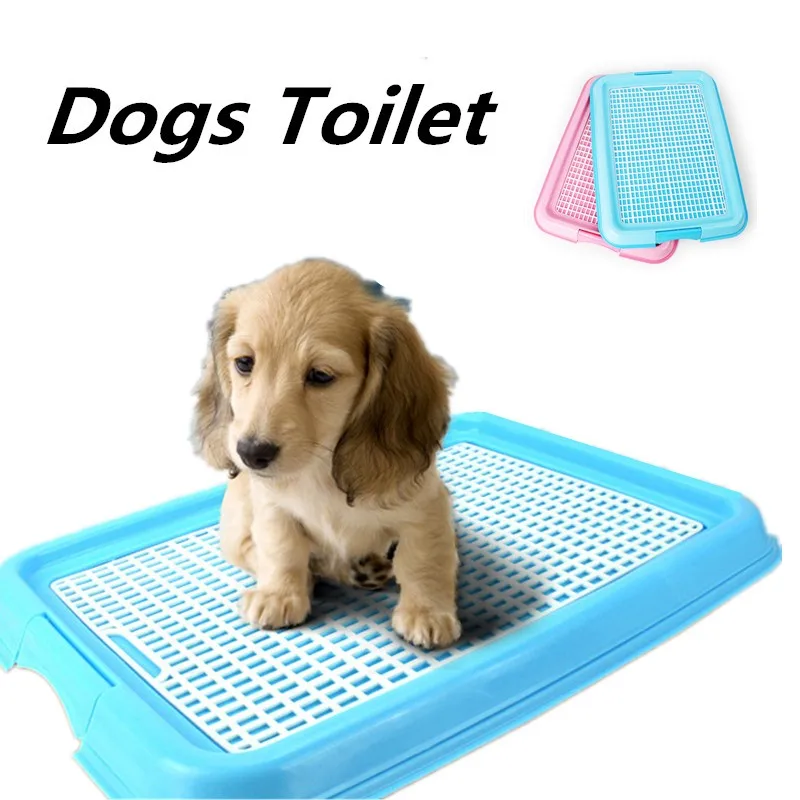 Приучить собаку ходить на улицу. Туалет для кобелей. Как приучить щенка к туалету на улице. Приучить кошку к унитазу. Лоток для приучения кошек к туалету.