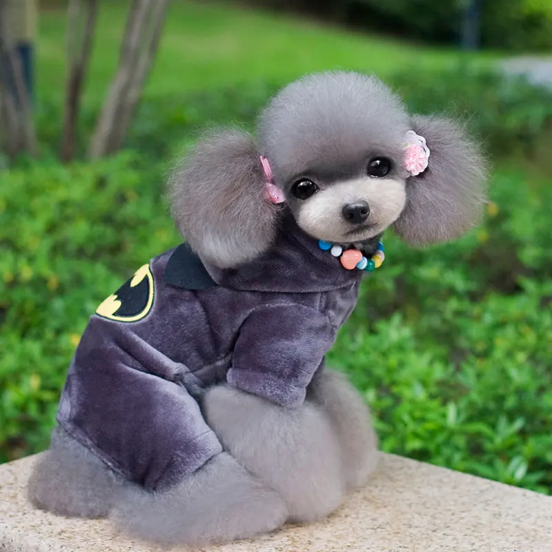 svorka for dogs