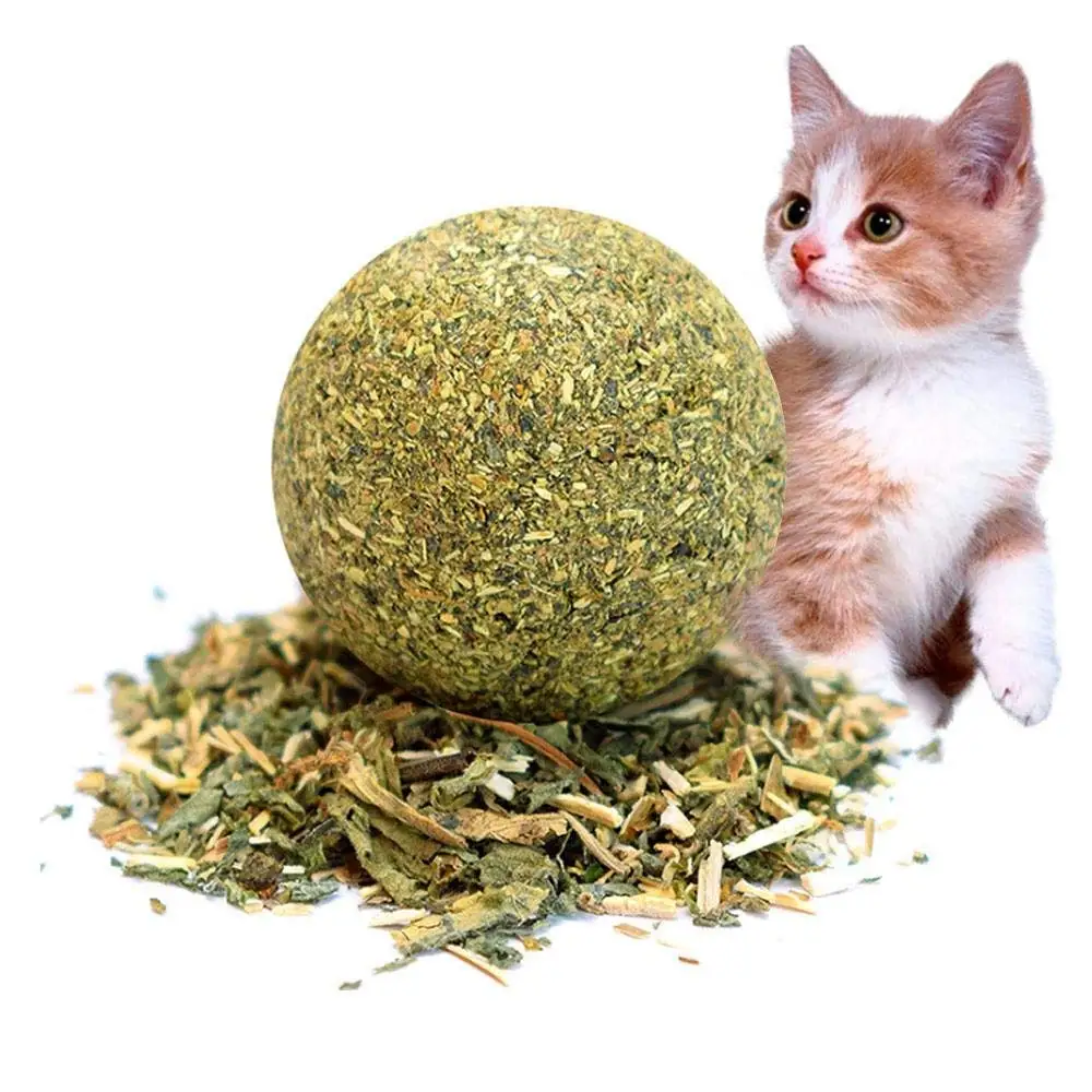 Buy Catnip Treat Ball Cat Toy for Molar Cleaning Teeth Natural Catnip Toys for