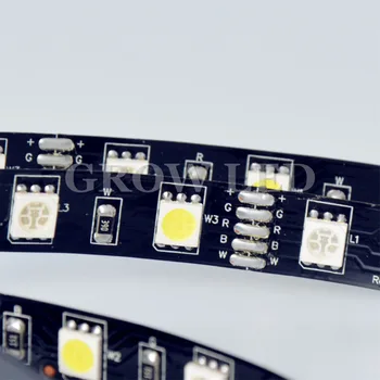 

5m 60led/M Black FPCB 5050 RGBW RGB Warm Cool White RGBW LED Strip Light DC12V