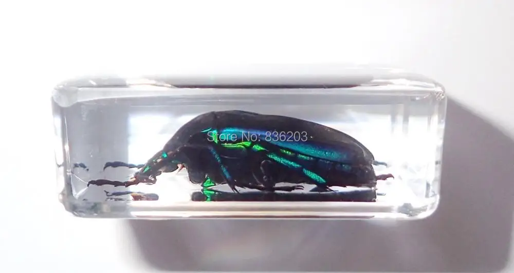 s-l1600 (5)