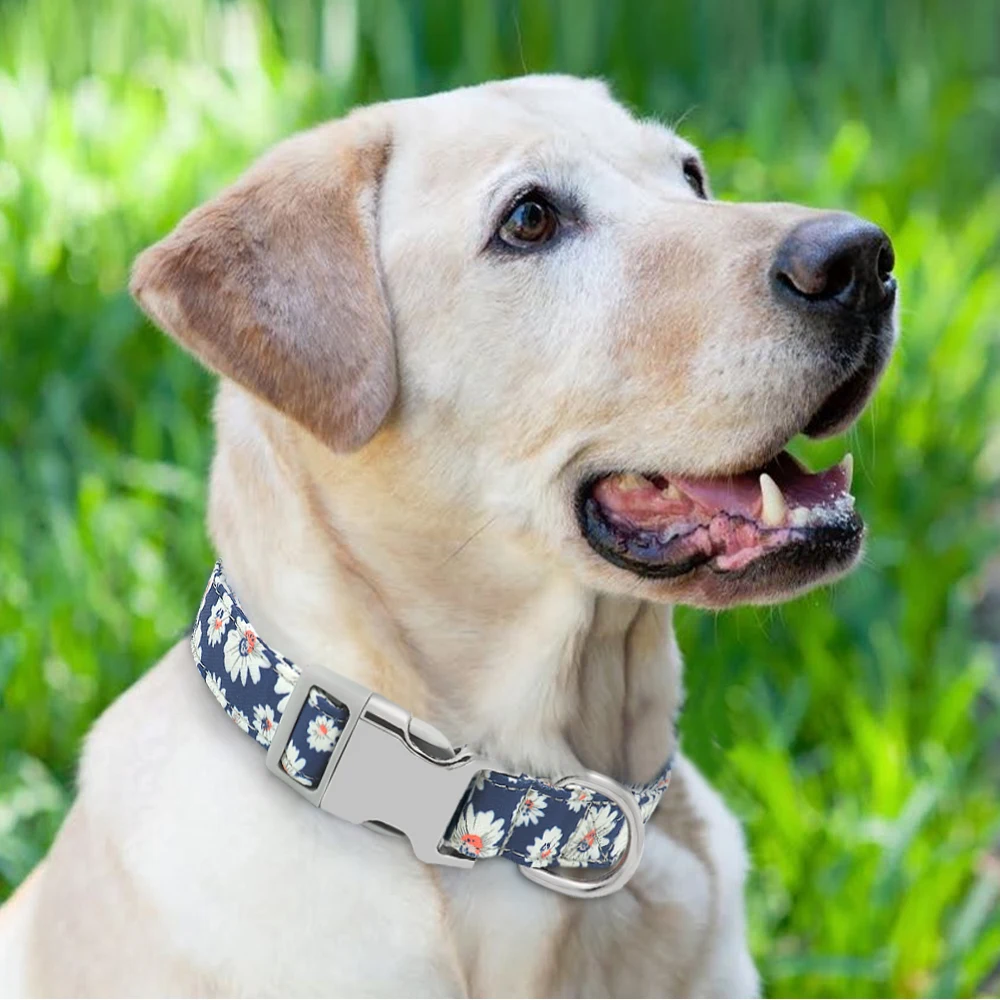  Personalized Printed Dog Collar 