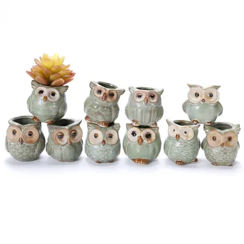 

5pcs Ceramic Flower Pot Owl Shape Succulent Plant Container for Garden Home Decoration J2Y