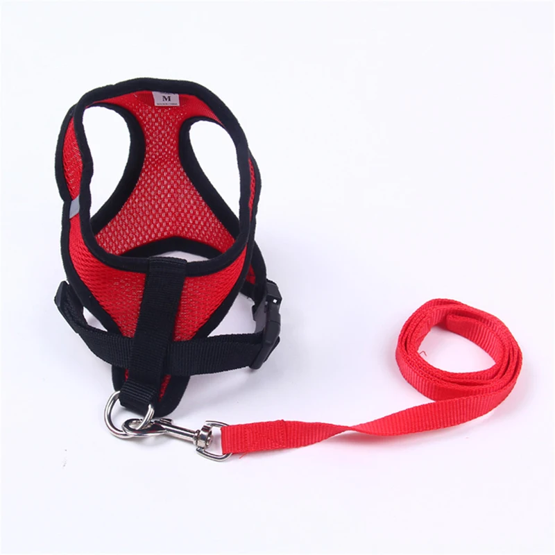 7 dog chain 