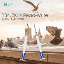 X10pcs 134,2 кГц rfid ПЭТ шприц для микросхем 1,4*8 мм животных инжектор ISO11784/785 FDX-B шприцы для кошек и собак, шприц для змей