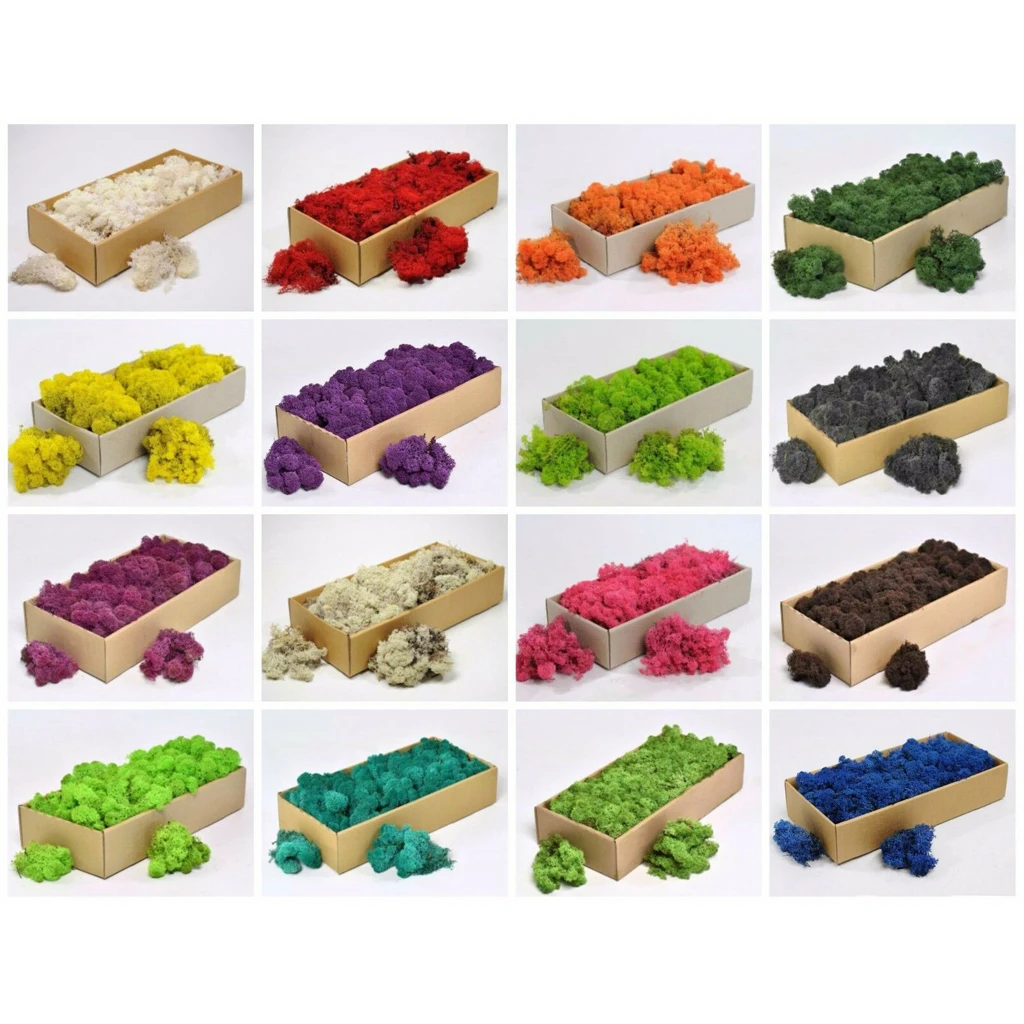 

Natural Norwegian Reindeer Moss Preserved Dried Crafts Flower Stamen DIY Micro Landscape Decoration