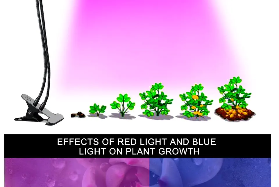 dual head grow lamp (4)