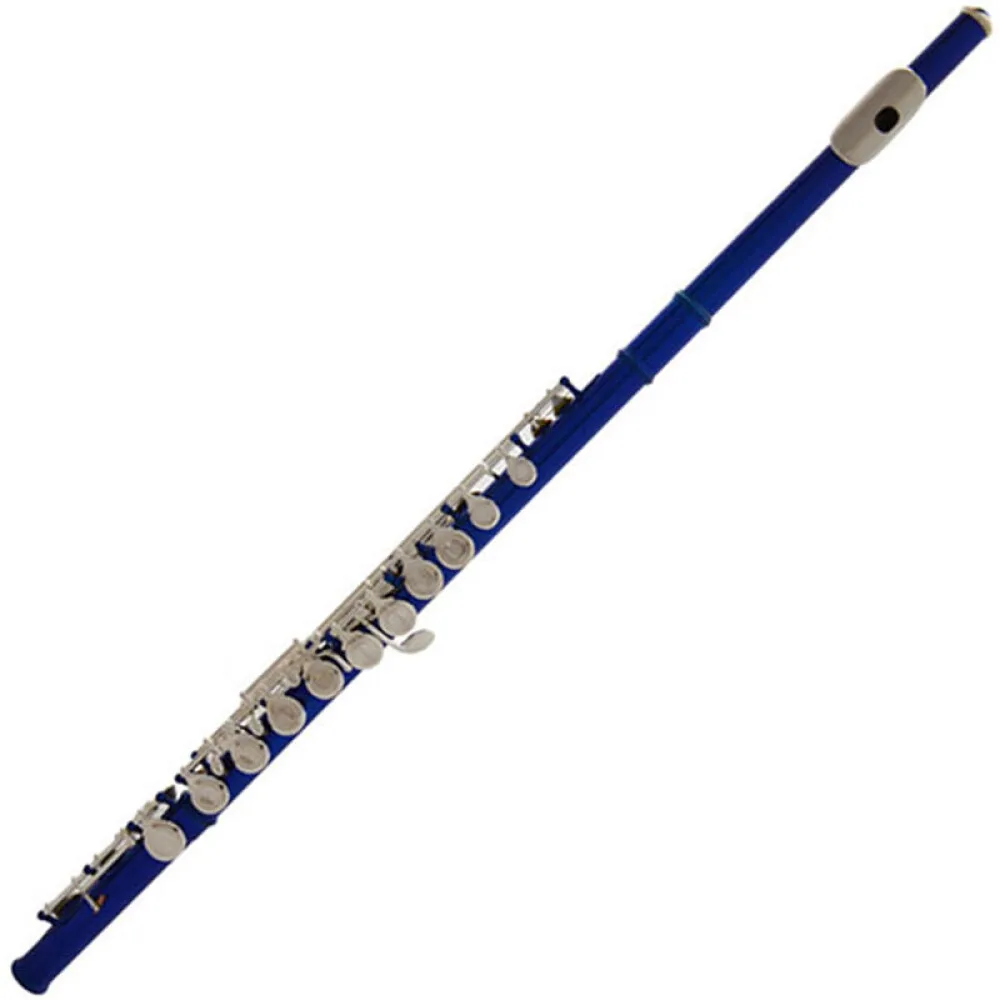 

High Quality Earl Mann 16 Hole Close C key Flute Cupronickel Blue Paint E key Professional Concert Instruments Flute With Case