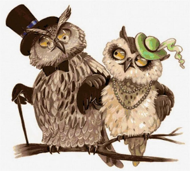 

14/16/18/28/27 Needlework,DIY Cross Stitch,Sets For Embroidery kits,14CT&16CT&18CT,Owl couple