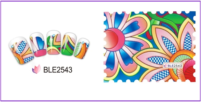 BLE2543