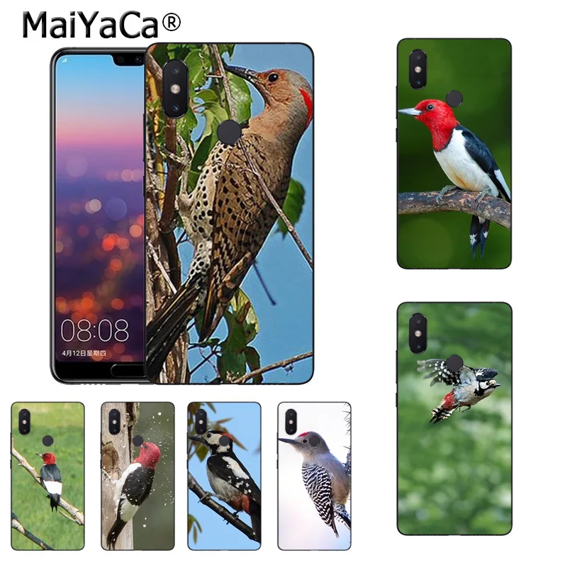Aliexpress.com : Buy MaiYaCa woodpecker bird On Sale