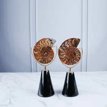 

Nordic Nautilus Fossil Decoration Titanium Gold Stainless Steel Home Jewelry Model Room Living Room Marble Crafts Limited sales