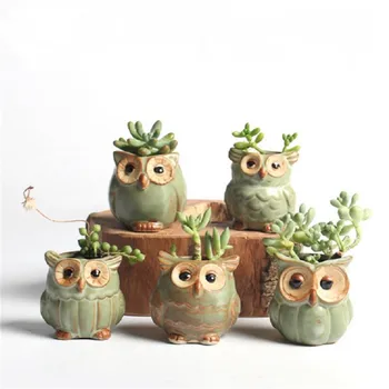 

5Pcs/Set Small Owl Shaped Flower Pots Ceramic Mini Succulents Creative Home/Garden/Office Decoration FlowerPot