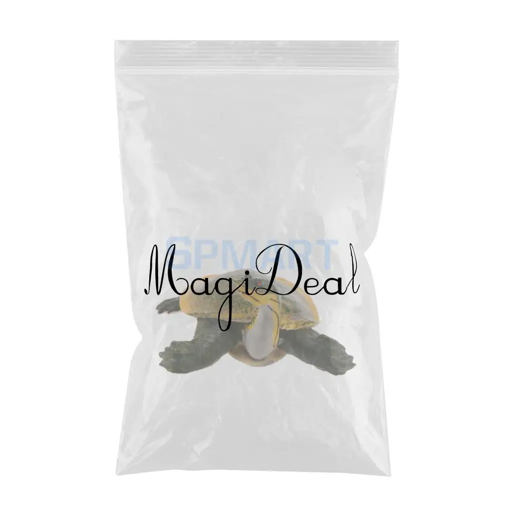 Animals Figure Toys Sea Soft-shelled turtle Animals Model Aquarium Toys Realistic Wild Pastic Figurine Animal Developmental Toy