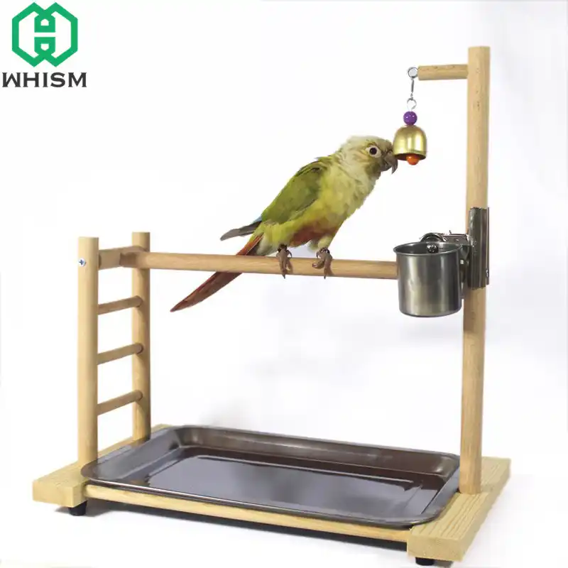 Whism Stainless Steel Pet Feeding Cups Parrot Waterer Metal Bird