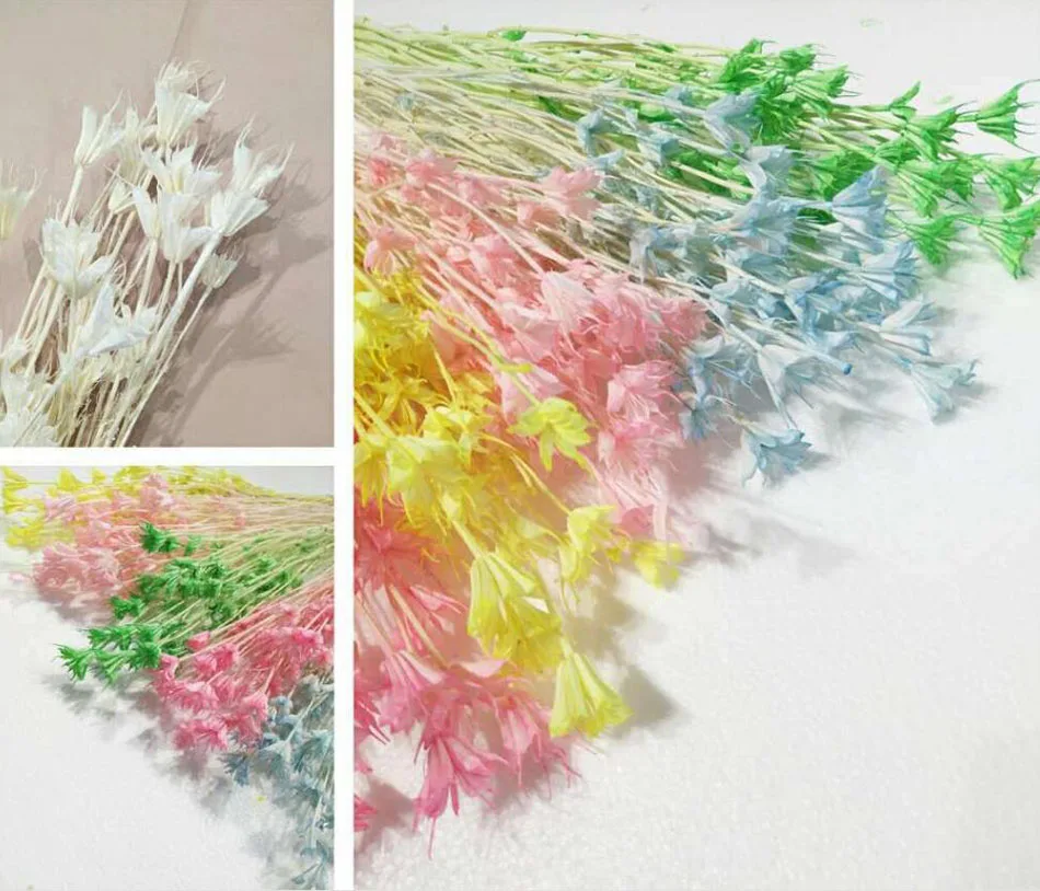 

10 Bundles 50cm Dried Mandy Flowers Preserved Flower For Wedding Party Home Hotel Decoration DIY Bouquet Accessory