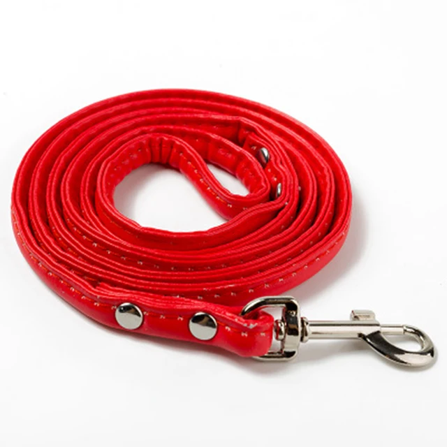 rope leash for small dogs