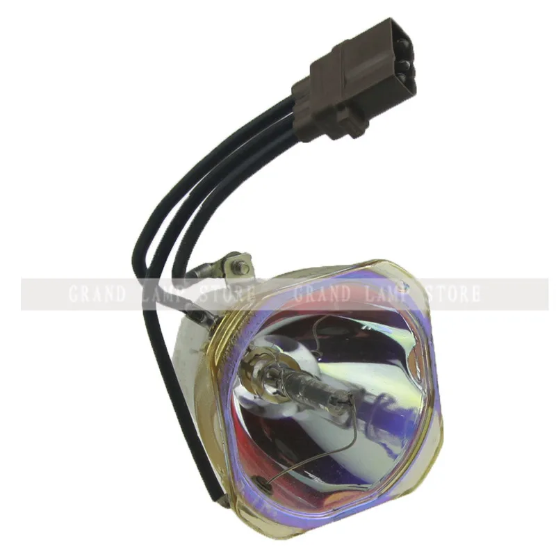 ELPLP464