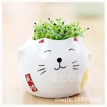 Strange new computer peripheral radiation Lucky Cat plant planting customized gifts succulents potted flowers