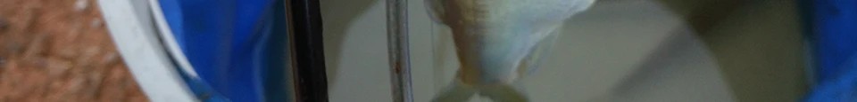 --_114