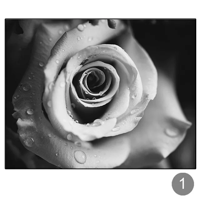 Minimalist-Black-and-White-Wall-Decor-Noble-Floral-Canvas-Art-Rose-Painting-Dew-Rose-Art-Poster.jpg_640x640