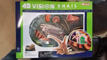 

4D Master vision medical Snail ANATOMY MODEL skeleton anatomical model Fully Detachable Organs Body Parts Educational