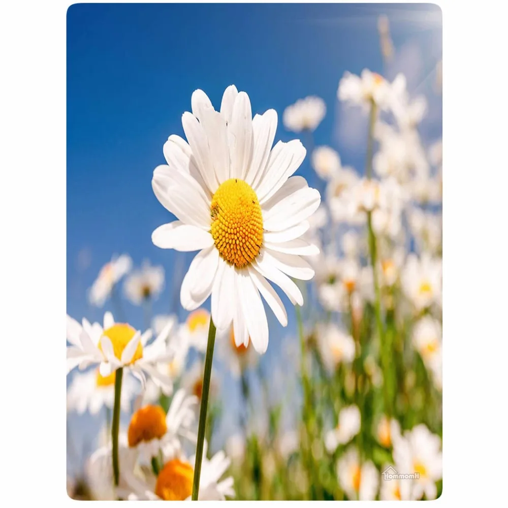 

Blanket Comfort Warmth Soft Plush Easy Care Machine Wash Camouflage white flowers blue sky camouflage Sofa Bed Throw blanket