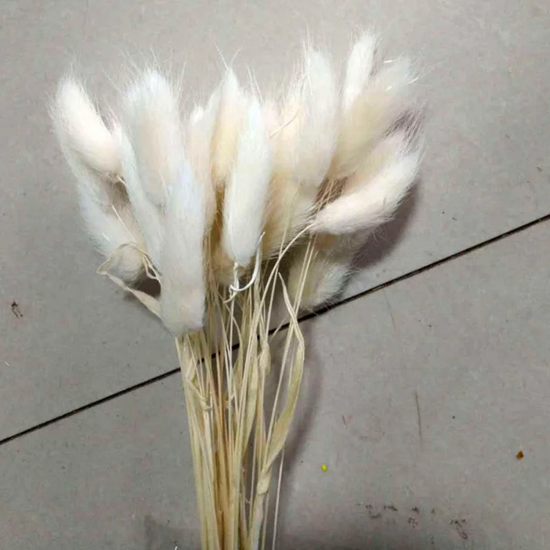 30 шт./лот натуральный кролик хвост трава сушеный цветок украшения праздничные вечерние поставки сушеные цветы красочный свадебный Декор-букет - Цвет: W