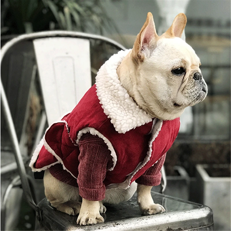 dog clothes coat winter (4)