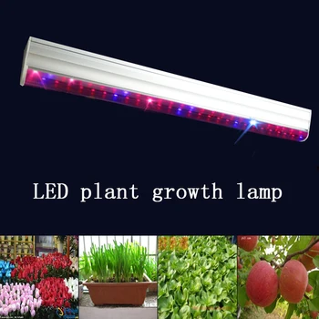 

LED Plant Growth Lamp Blu-ray Red-light Scientific Proportion Vegetable Flowers Fruit Tree Multi-flesh Anti-apprenticeship Suppl