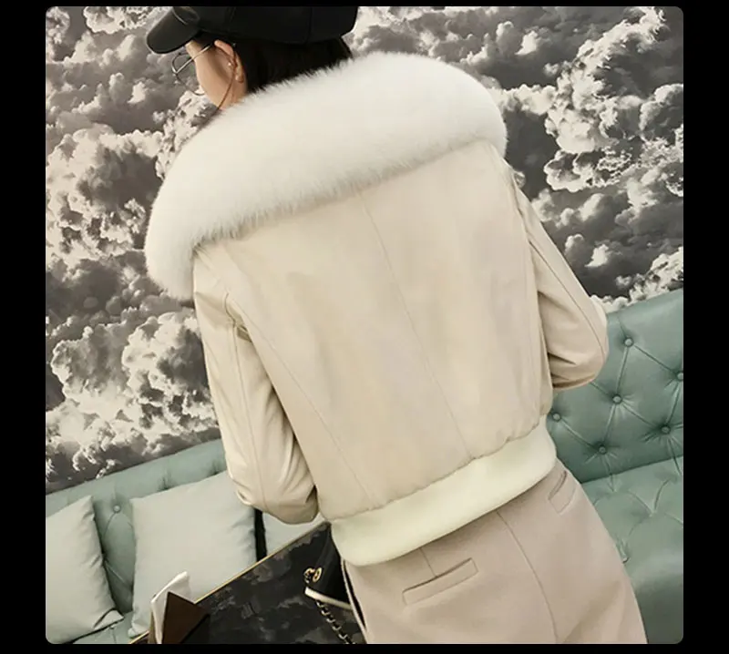 lt---_22