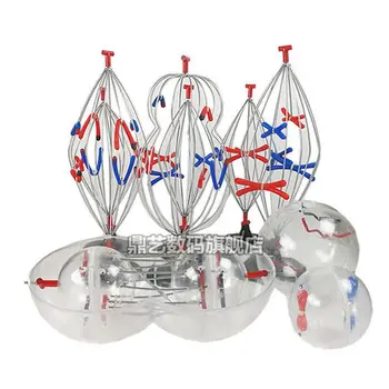 Animal and plant cell silk and meiosis model Biological teaching instrument mitosis free shipping Animal and plant cell silk and meiosis model Biological teaching instrument mitosis free shipping
