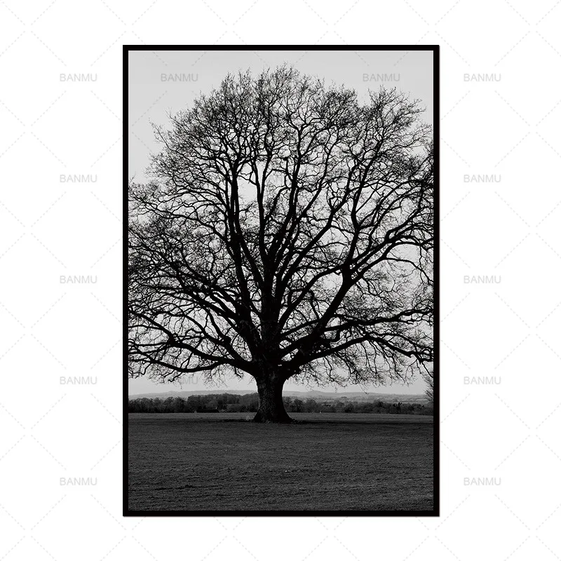 WP0282-1