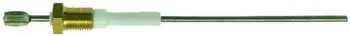 

Water Level Probe Ø 1/8"m-115 mm for Promac Rancilio Millenium